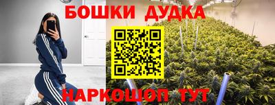 дурь Будённовск