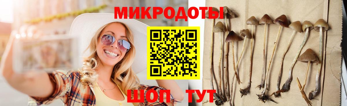 Псилоцибиновые грибы MAGIC MUSHROOMS  Вход с VPN  Смоленск  Псилоцибиновые грибы Psilocybine cubensis 